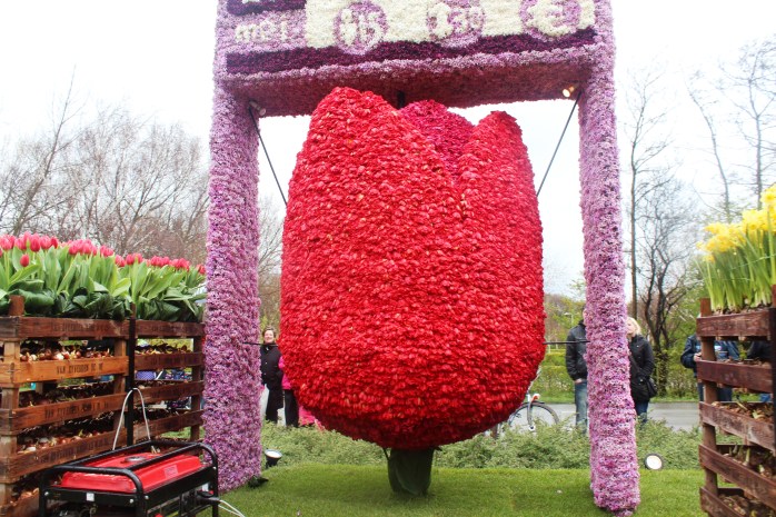 A tulip made with thousands of flowers in Flower Parade of Keukenhof