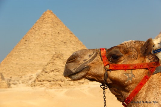 Pyramids of Giza and our ride in the desert of Egypt