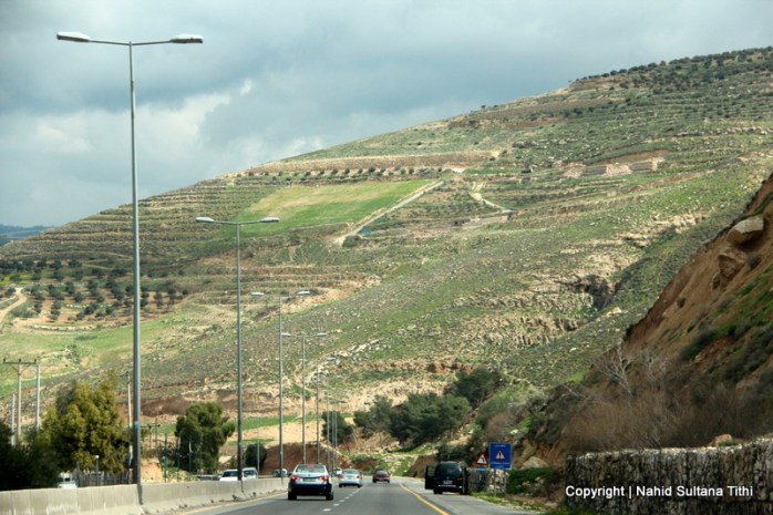 On our way to Ajloun, Jordan...beautiful scenic drive