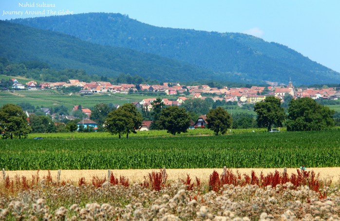 Driving on highway in Alsace, on our way to Colmar on the 1st day