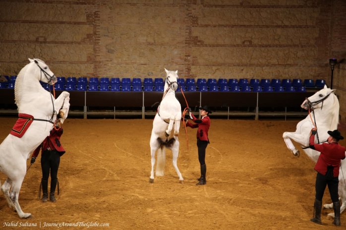 Equestrian show on our 2nd night in Cordoba, Spain