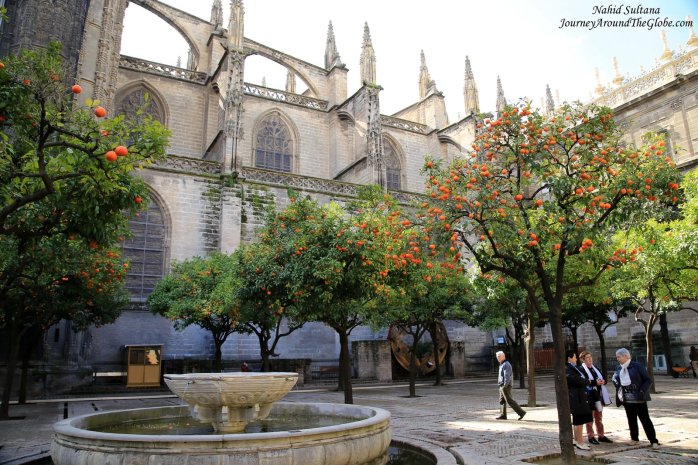 Orange Courtyard of Seville Cathedral