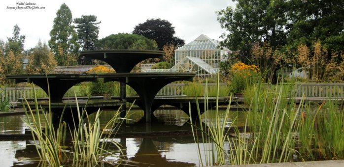 Another portion of Cambridge University Botanic Garden in England