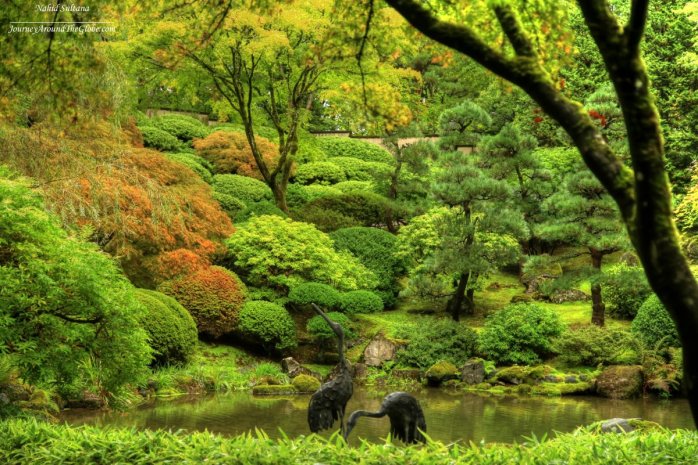 Intimate pond and crane statues in Portland Japanese Garden in Oregon