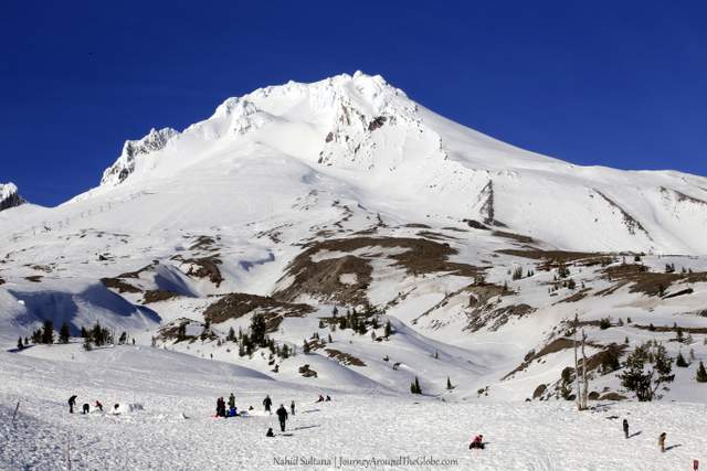 Mt. Hood and its guests