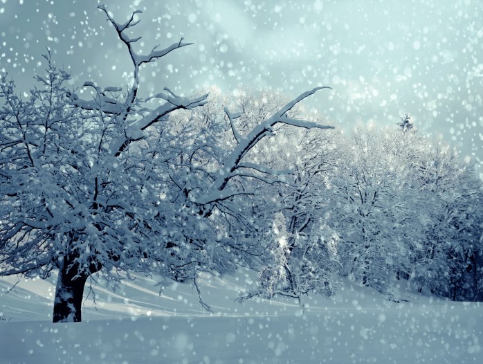 winter-1861704