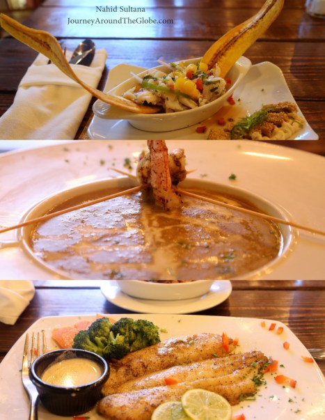 Dinner_LazyTurtle