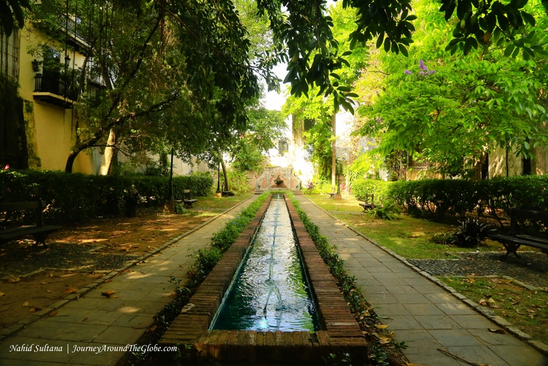 This image has an empty alt attribute; its file name is mg_0241_picasa.jpg